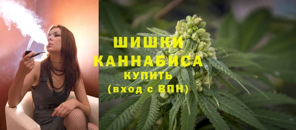 крисы Вязьма