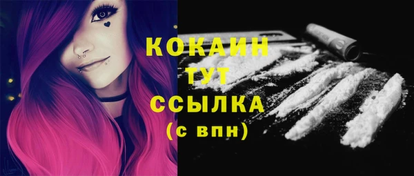 apvp Михайлов