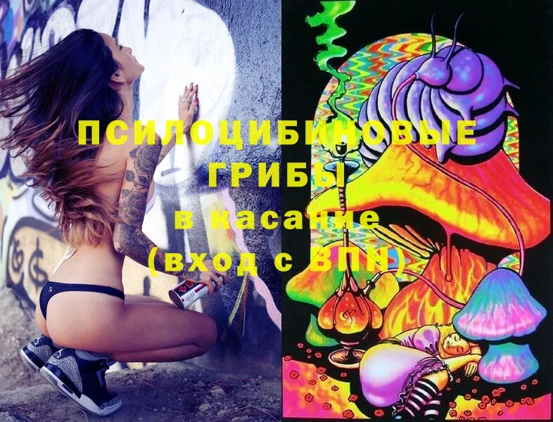 Галлюциногенные грибы MAGIC MUSHROOMS  Печора 