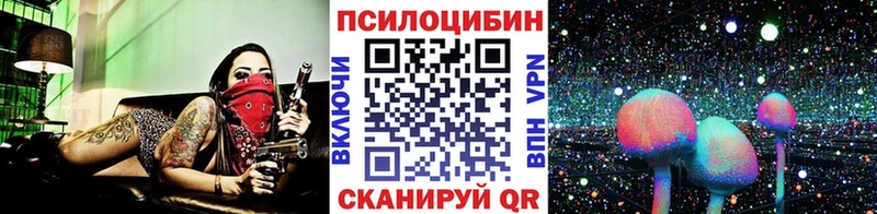 где купить наркотик  Печора  Псилоцибиновые грибы GOLDEN TEACHER 