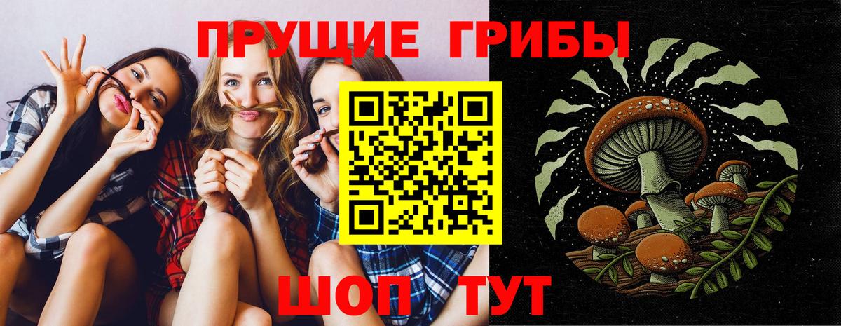 Галлюциногенные грибы GOLDEN TEACHER  Псилоцибиновые грибы мухоморы  Печора 