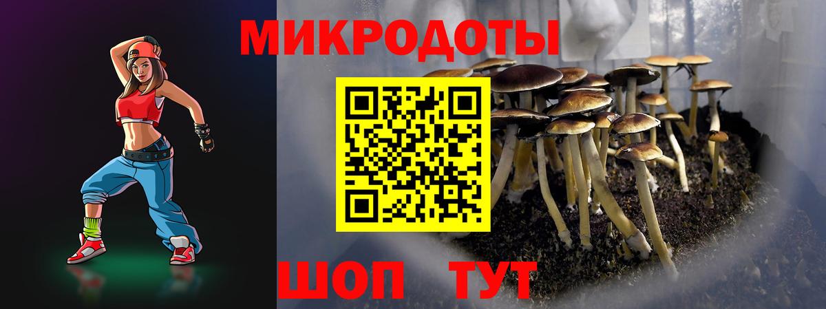 Псилоцибиновые грибы ЛСД Печора